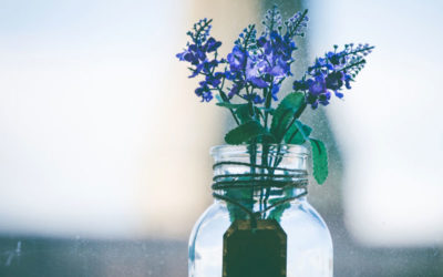 La aromaterapia: un delicioso viaje hacia la salud integral en complicidad con la memoria olfativa.