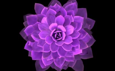 Los mandalas: una herramienta para el crecimiento espiritual.