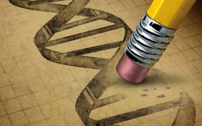 Epigenética: los efectos inesperados de la mente sobre nuestros genes