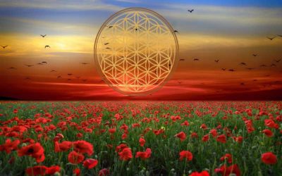 La flor de la vida
