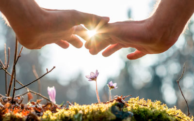 Terapias alternativas: cuando la sanación y el crecimiento espiritual se dan la mano