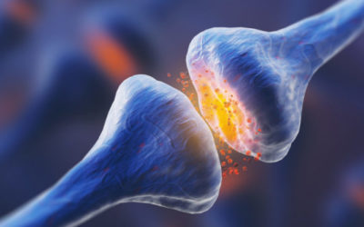 Las terapias alternativas y el cáncer