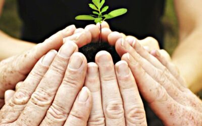 La activación de la solidaridad debido a la situación planetaria actual