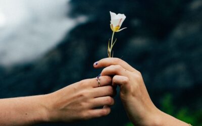 Estado de gratitud y energía. ¿Por qué la gratitud favorece tu bienestar?