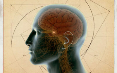 Herramientas que te ayudan a activar la glándula pineal