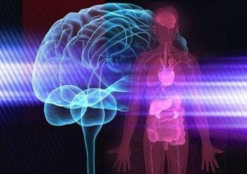¿Cómo afectan nuestros pensamientos y emociones a la microbiota y al sistema inmunitario?