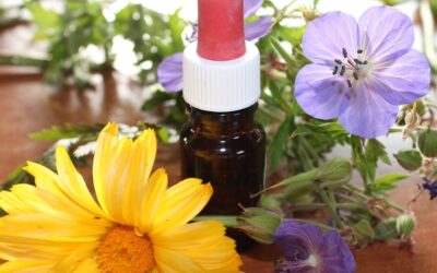 Homeopatía y holismo