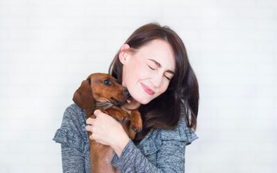 Pueden las mascotas absorber o detectar las energías del hogar