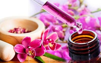 Flores de Bach y Holismo: Un Enfoque Integral a las Emociones