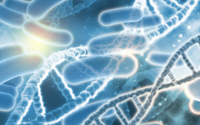 Microbiota y el equilibrio holístico
