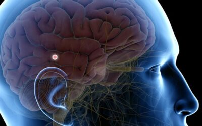 El Ojo del Alma: Despertando tu Percepción Extrasensorial a través de la Glándula Pineal