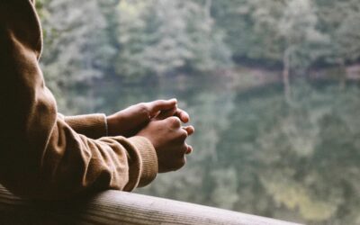 Volver al Refugio Seguro: Herramientas Holísticas para Calmar tu Sistema Nervioso tras un Trauma