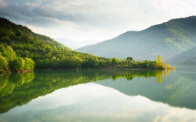 El Superpoder de Observar tus Propios Pensamientos: La Clave para Salir del Laberinto de tu Mente
