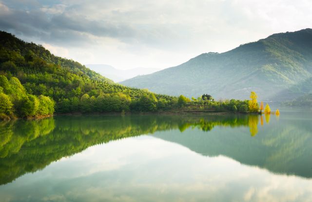 El Superpoder de Observar tus Propios Pensamientos: La Clave para Salir del Laberinto de tu Mente